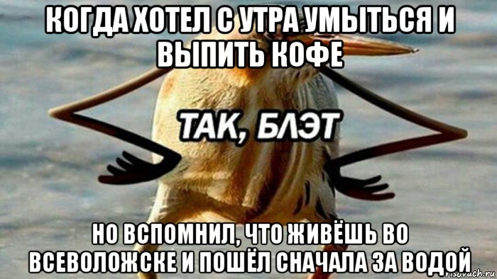 когда хотел с утра умыться и выпить кофе но вспомнил, что живёшь во всеволожске и пошёл сначала за водой, Мем  Так блэт