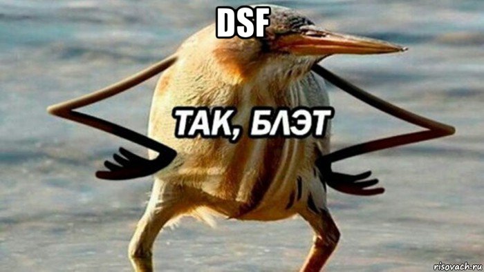 dsf , Мем  Так блэт