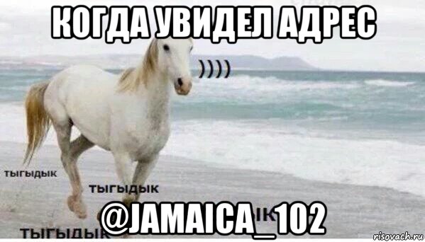 когда увидел адрес @jamaica_102, Мем   Тыгыдык