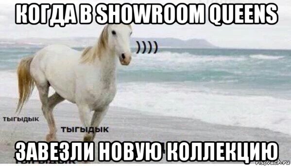 когда в showroom queens завезли новую коллекцию, Мем   Тыгыдык