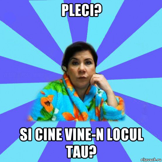 pleci? si cine vine-n locul tau?, Мем типичная мама