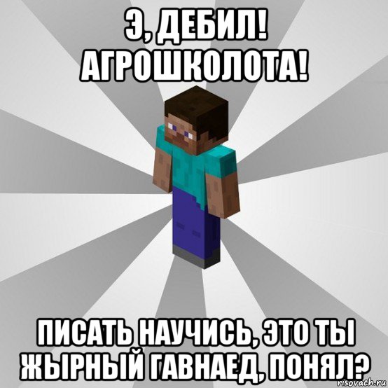 э, дебил! агрошколота! писать научись, это ты жырный гавнаед, понял?, Мем Типичный игрок Minecraft