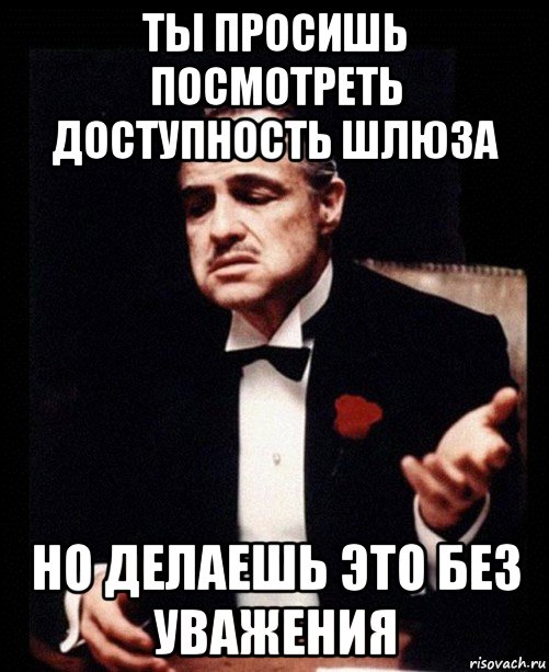 ты просишь посмотреть доступность шлюза но делаешь это без уважения, Мем ты делаешь это без уважения