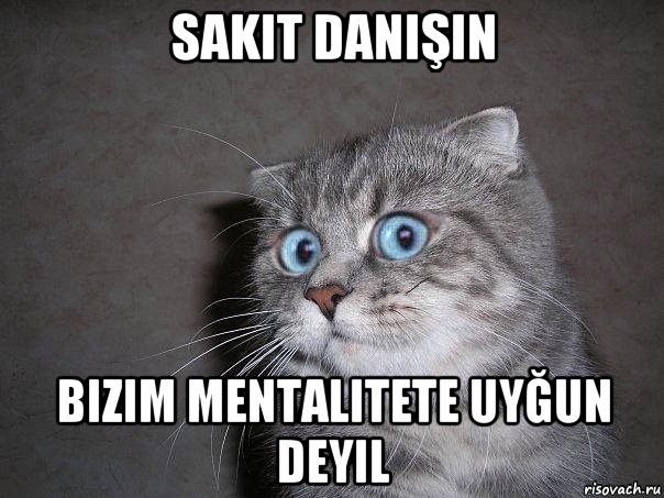 sakit danişin bizim mentalitete uyğun deyil, Мем  удивлённый кот