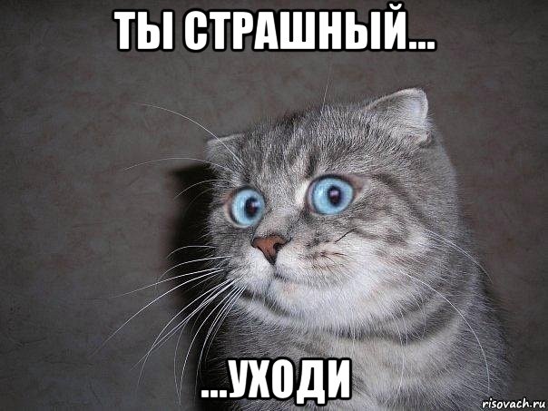 ты страшный... ...уходи, Мем  удивлённый кот