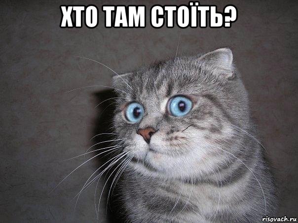 хто там стоїть? , Мем  удивлённый кот