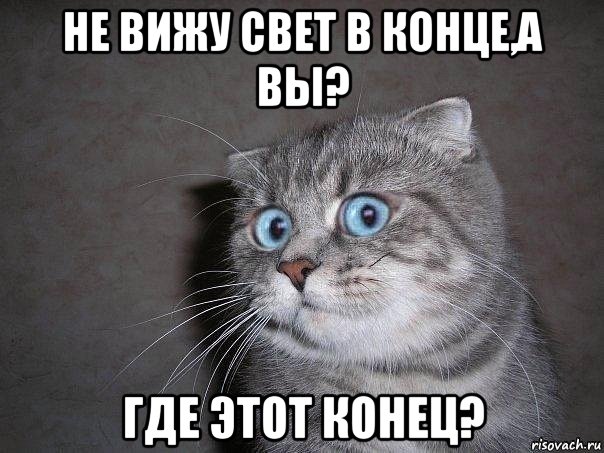 не вижу свет в конце,а вы? где этот конец?, Мем  удивлённый кот