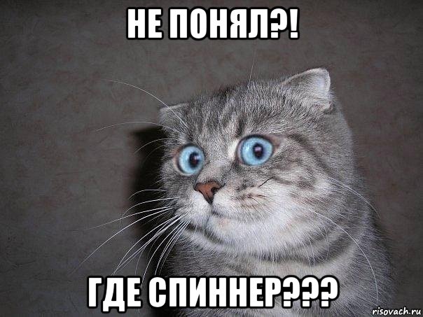 не понял?! где спиннер???, Мем  удивлённый кот