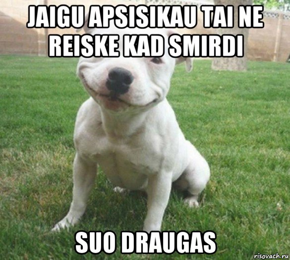 jaigu apsisikau tai ne reiske kad smirdi suo draugas, Мем  улыбака