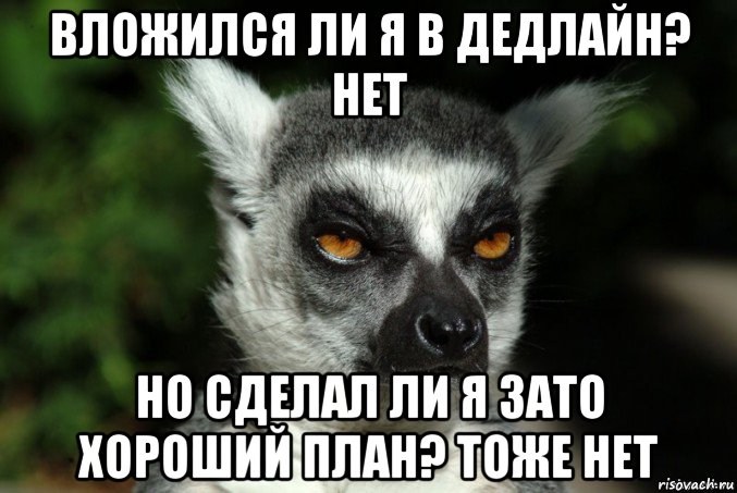 вложился ли я в дедлайн? нет но сделал ли я зато хороший план? тоже нет, Мем   Я збагоен