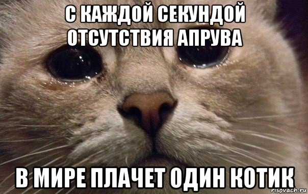 с каждой секундой отсутствия апрува в мире плачет один котик, Мем   В мире грустит один котик