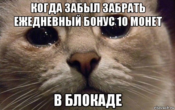 когда забыл забрать ежедневный бонус 10 монет в блокаде, Мем   В мире грустит один котик