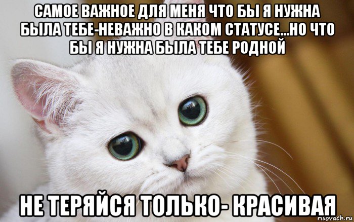 самое важное для меня что бы я нужна была тебе-неважно в каком статусе...но что бы я нужна была тебе родной не теряйся только- красивая, Мем  В мире грустит один котик