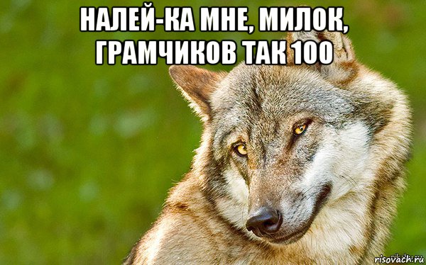 налей-ка мне, милок, грамчиков так 100 , Мем   Volf