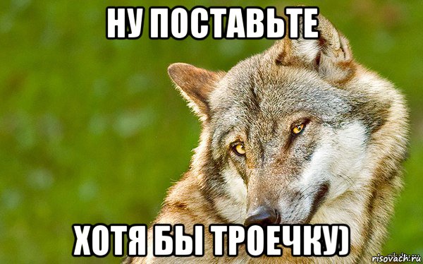 ну поставьте хотя бы троечку), Мем   Volf