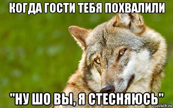 когда гости тебя похвалили "ну шо вы, я стесняюсь", Мем   Volf