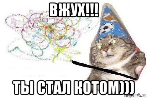 вжух!!! ты стал котом))), Мем Вжух мем