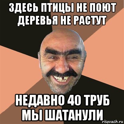 здесь птицы не поют деревья не растут недавно 40 труб мы шатанули, Мем Я твой дом труба шатал