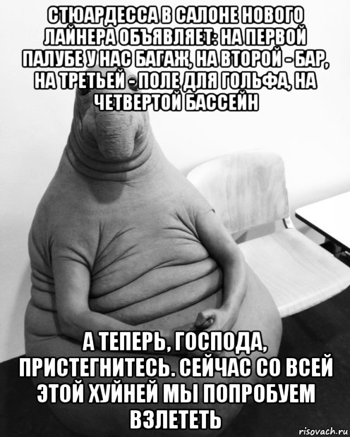 стюардесса в салоне нового лайнера объявляет: на первой палубе у нас багаж, на второй - бар, на третьей - поле для гольфа, на четвертой бассейн а теперь, господа, пристегнитесь. сейчас со всей этой хуйней мы попробуем взлететь, Мем  Ждун