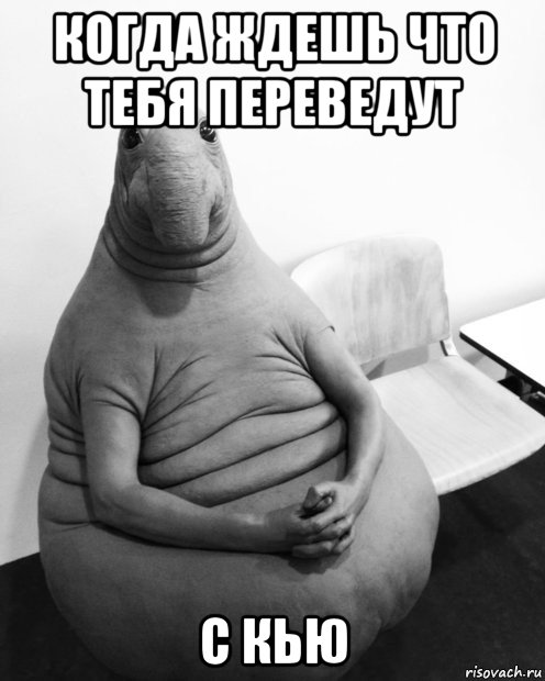 когда ждешь что тебя переведут с кью, Мем  Ждун