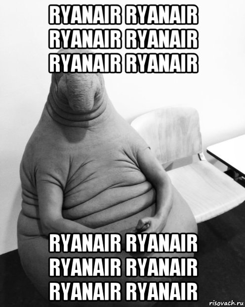 ryanair ryanair ryanair ryanair ryanair ryanair ryanair ryanair ryanair ryanair ryanair ryanair, Мем  Ждун