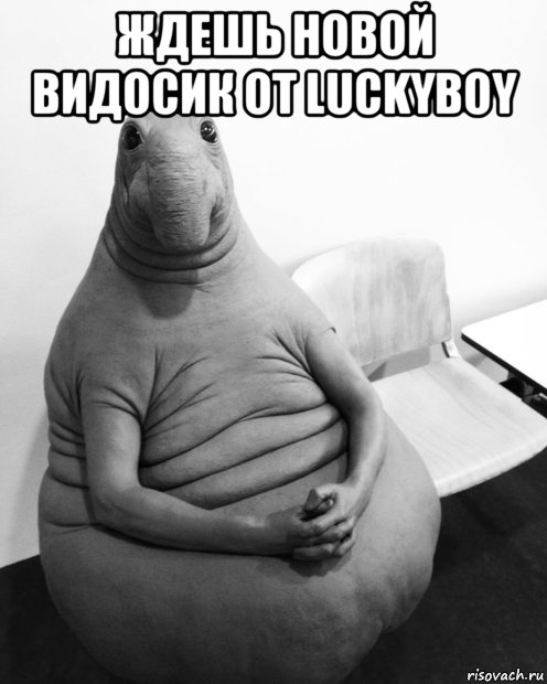 ждешь новой видосик от luckyboy , Мем  Ждун