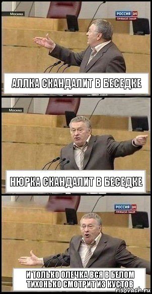 Аллка скандалит в беседке Нюрка скандалит в беседке И только Олечка вся в белом тихонько смотрит из кустов, Комикс Жириновский разводит руками 3