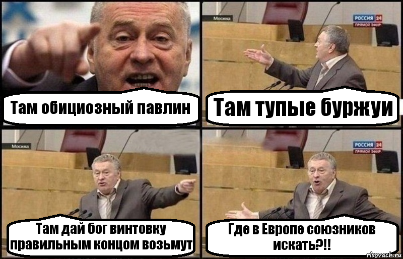 Там обициозный павлин Там тупые буржуи Там дай бог винтовку правильным концом возьмут Где в Европе союзников искать?!!, Комикс Жириновский