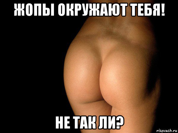 жопы окружают тебя! не так ли?, Мем жопа