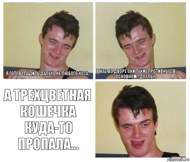 я готов гладить далеко не любого кота... У нас во дворе они такие противные, в основном...дохлые А трехцветная кошечка куда-то пропала...