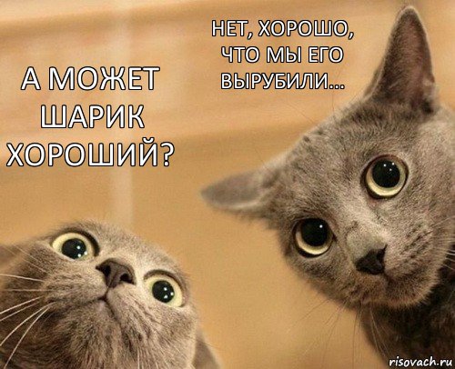 А может Шарик хороший? Нет, хорошо, что мы его вырубили..., Комикс  2 кота