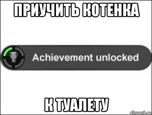 приучить котенка к туалету, Мем achievement unlocked