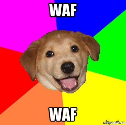 waf waf, Мем Advice Dog