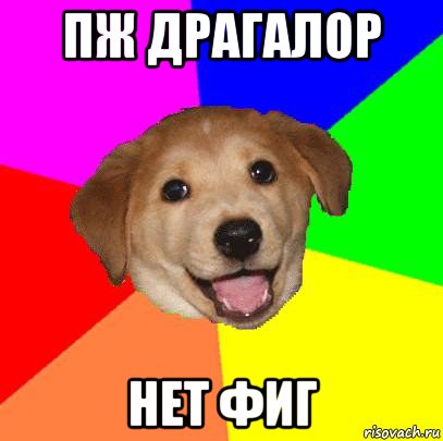 пж драгалор нет фиг, Мем Advice Dog