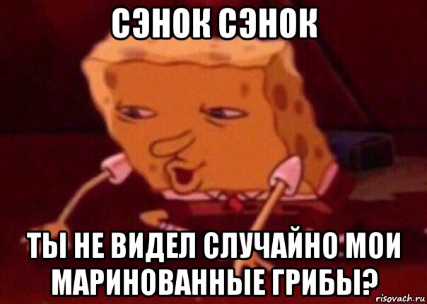 сэнок сэнок ты не видел случайно мои маринованные грибы?, Мем    Bettingmemes