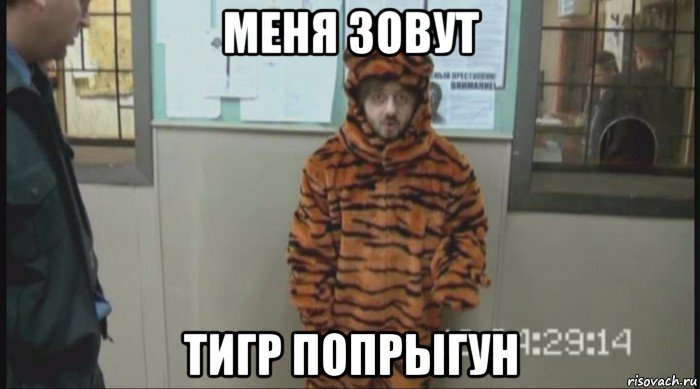 меня зовут тигр попрыгун, Мем Бородач в костюме тигра (Наша Раша)