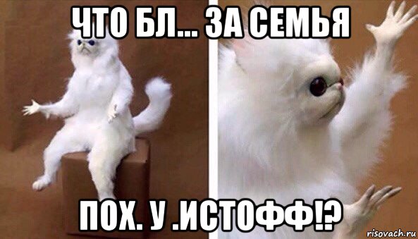 что бл... за семья пох. у .истофф!?, Мем Чучело кота