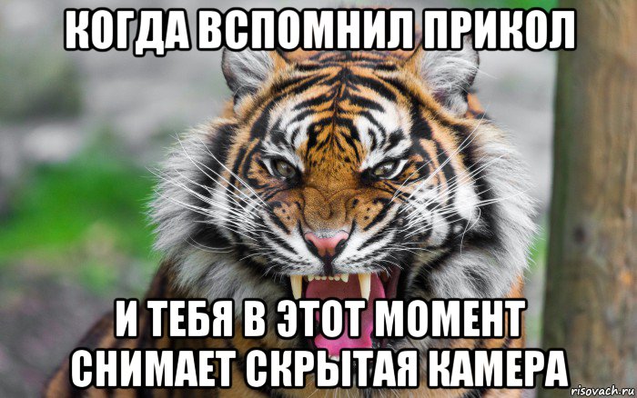 когда вспомнил прикол и тебя в этот момент снимает скрытая камера