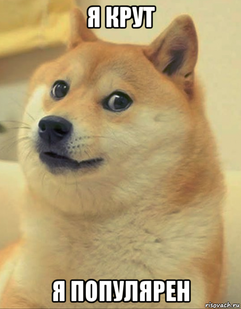 я крут я популярен, Мем doge woof