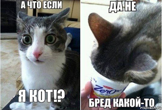 я кот!?, Комикс А что если