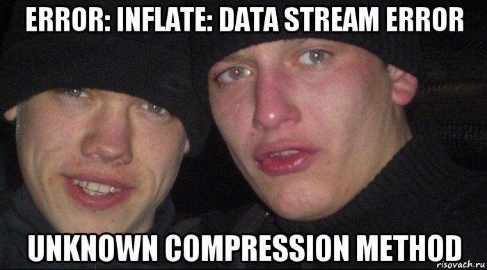 error: inflate: data stream error unknown compression method, Мем Ебать ты лох