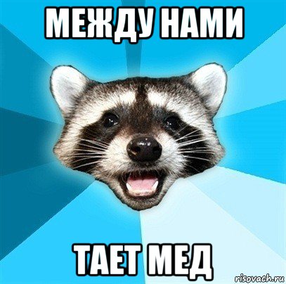 между нами тает мед