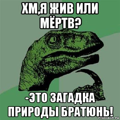 хм,я жив или мёртв? -это загадка природы братюнь!, Мем Филосораптор