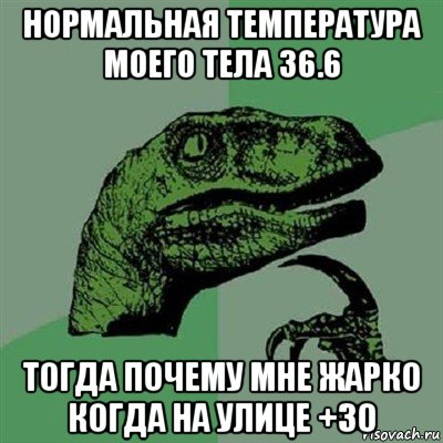 нормальная температура моего тела 36.6 тогда почему мне жарко когда на улице +30, Мем Филосораптор