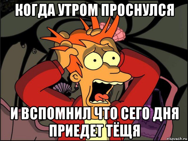 когда утром проснулся и вспомнил что сего дня приедет тёщя