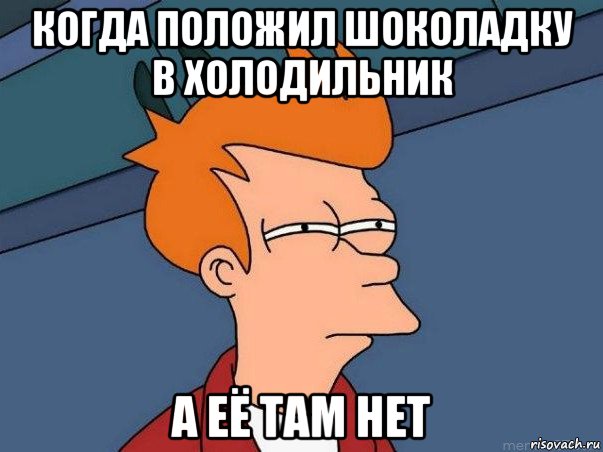 когда положил шоколадку в холодильник а её там нет, Мем  Фрай (мне кажется или)