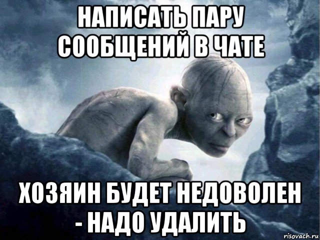 написать пару сообщений в чате хозяин будет недоволен - надо удалить, Мем   Голлум