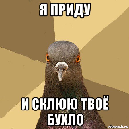 я приду и склюю твоё бухло