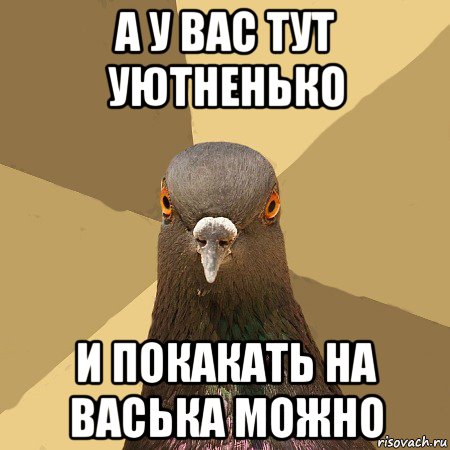 а у вас тут уютненько и покакать на васька можно