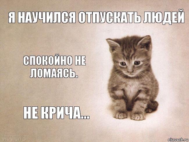 Я научился отпускать людей Спокойно Не ломаясь. Не крича..., Комикс грусть-пичаль